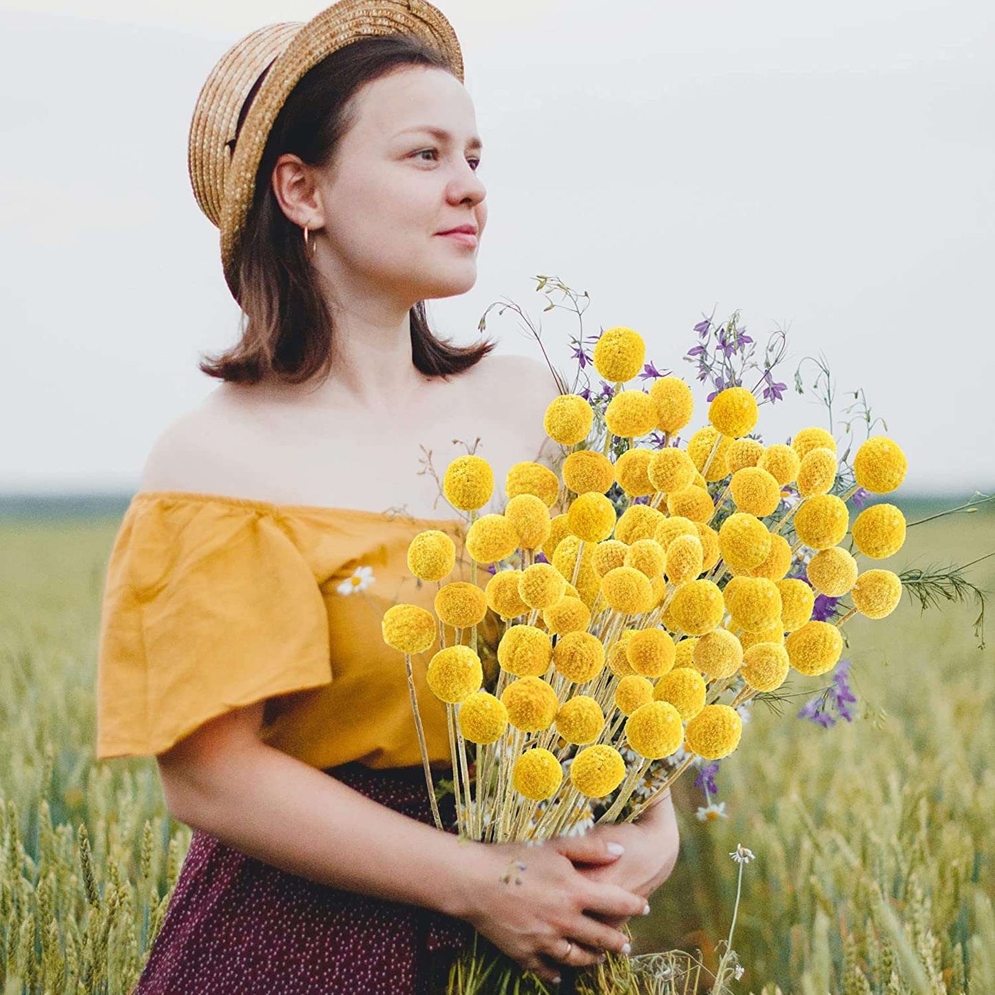 dried_flower - preserved_flower - fake_flower - 30Pcs Yellow Natural Dried Flowers Craspedia Billy Balls Flowers Billy Buttons - Molly Garden - Molly_Garden_Floral