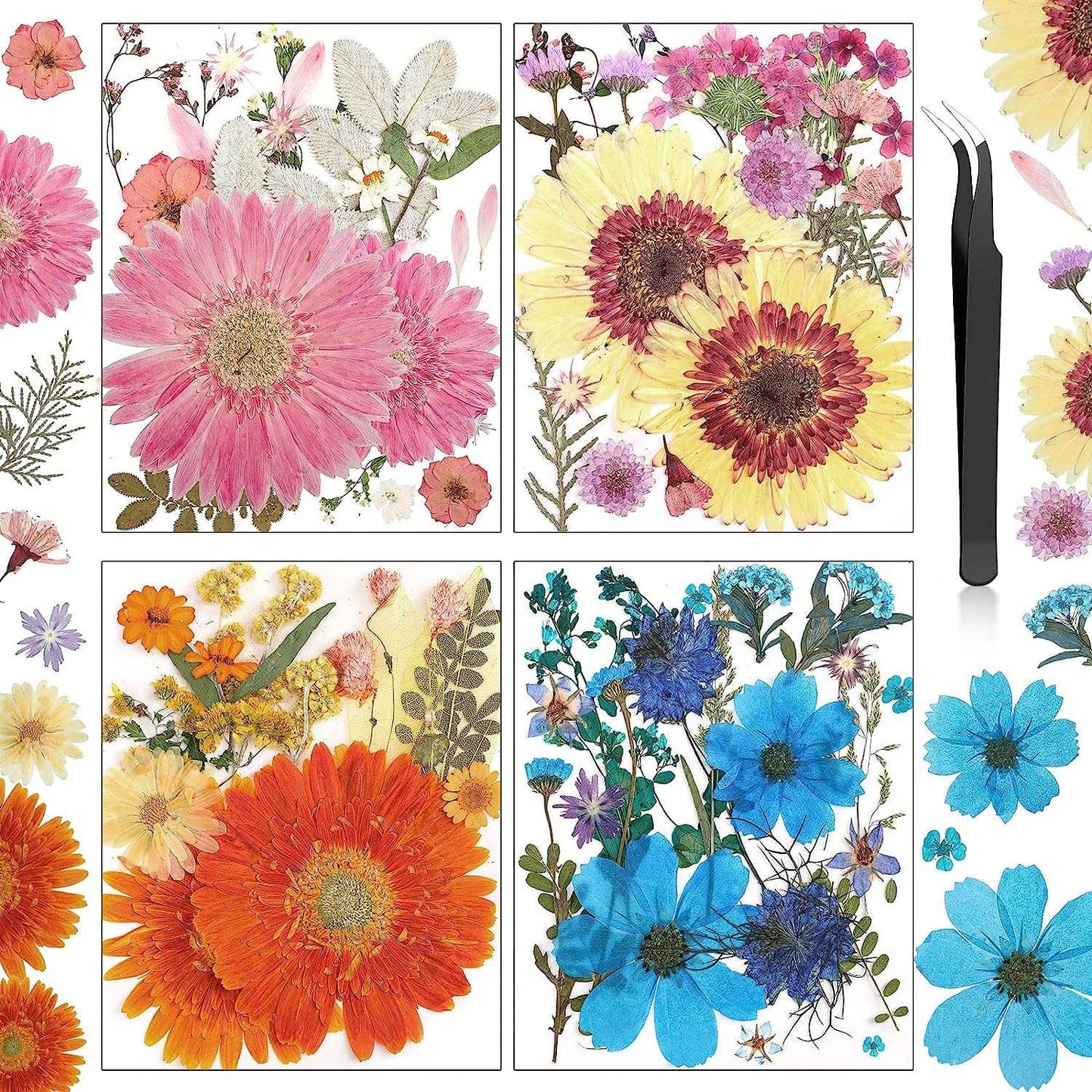 dried_flower - preserved_flower - fake_flower - Pressed Flowers Resin for Resin Mold Real Natural Daisy Dried Leaves - Molly Garden - Molly_Garden_Floral