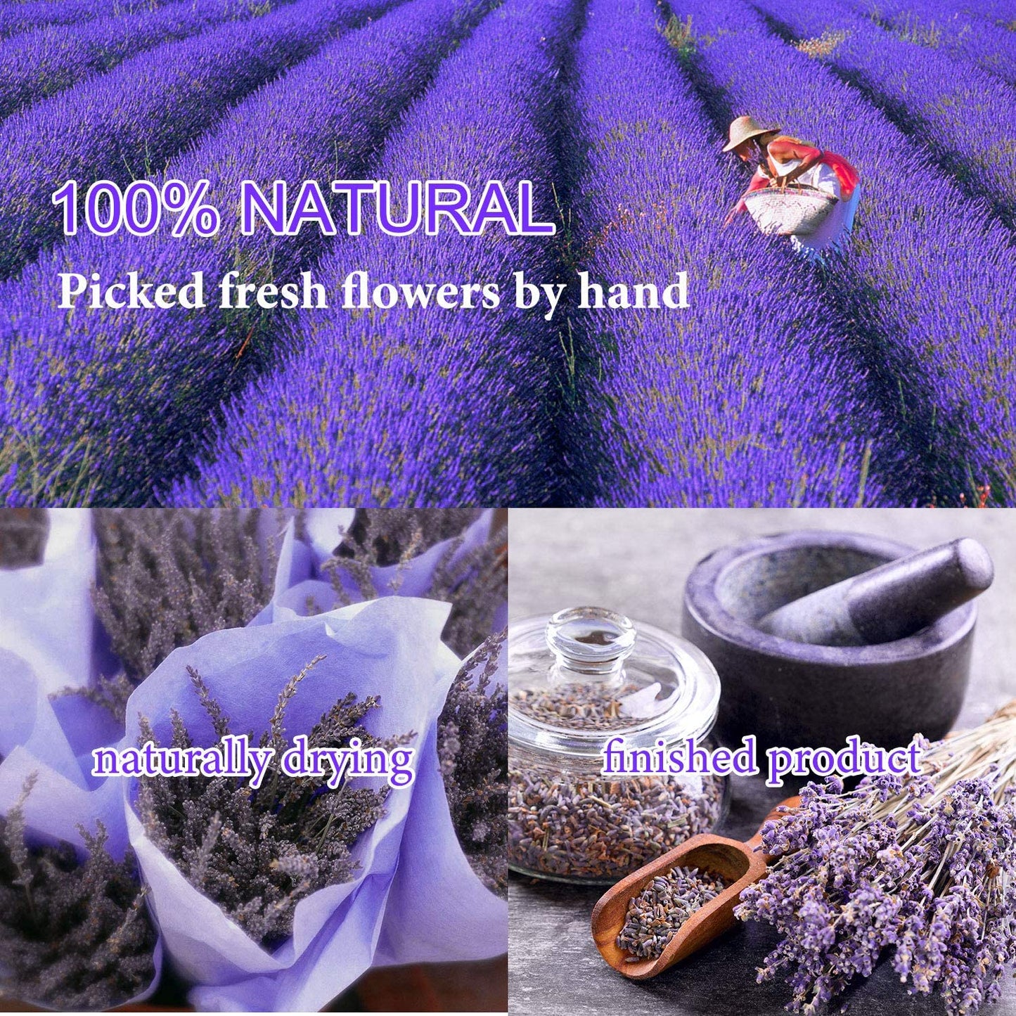 dried_flower - preserved_flower - fake_flower - 9Bags Dried Flowers 100% Natural Dried Flowers Herbs Kit for Soap Making - Molly Garden - Molly_Garden_Floral