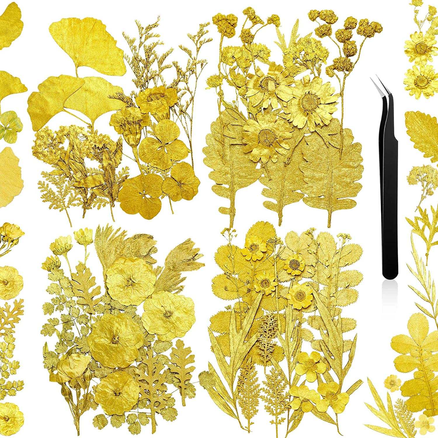 dried_flower - preserved_flower - fake_flower - Pressed Flowers Resin for Resin Mold Real Natural Daisy Dried Leaves - Molly Garden - Molly_Garden_Floral