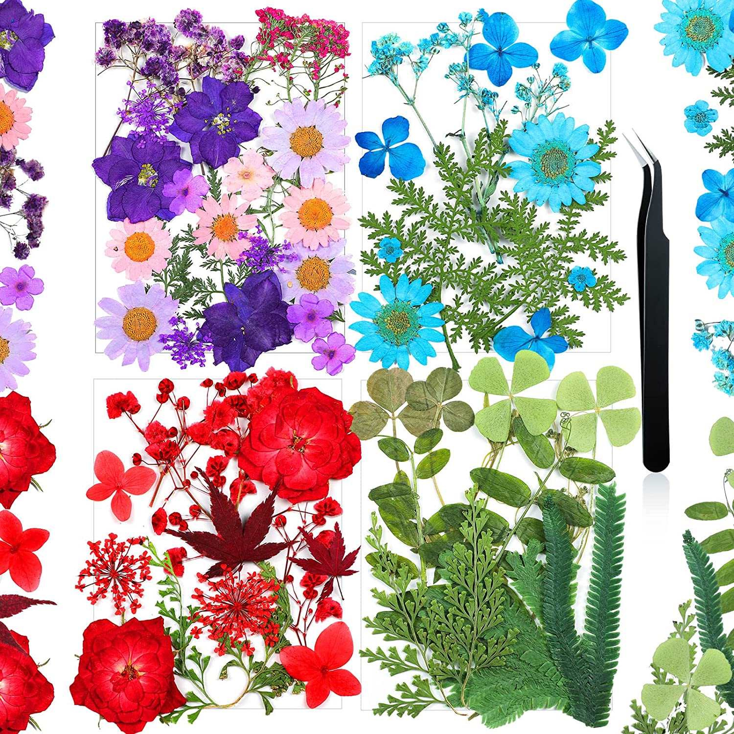 dried_flower - preserved_flower - fake_flower - Pressed Flowers Resin for Resin Mold Real Natural Daisy Dried Leaves - Molly Garden - Molly_Garden_Floral