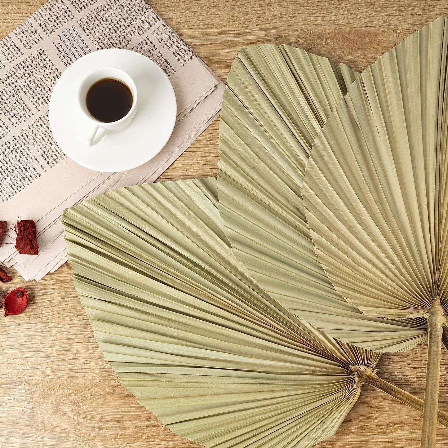 dried_flower - preserved_flower - fake_flower - 5Pcs Dried Palm Leaves Room Decor 18"H x 10"W Large Natural Leaf Decor - Molly Garden - Molly_Garden_Floral