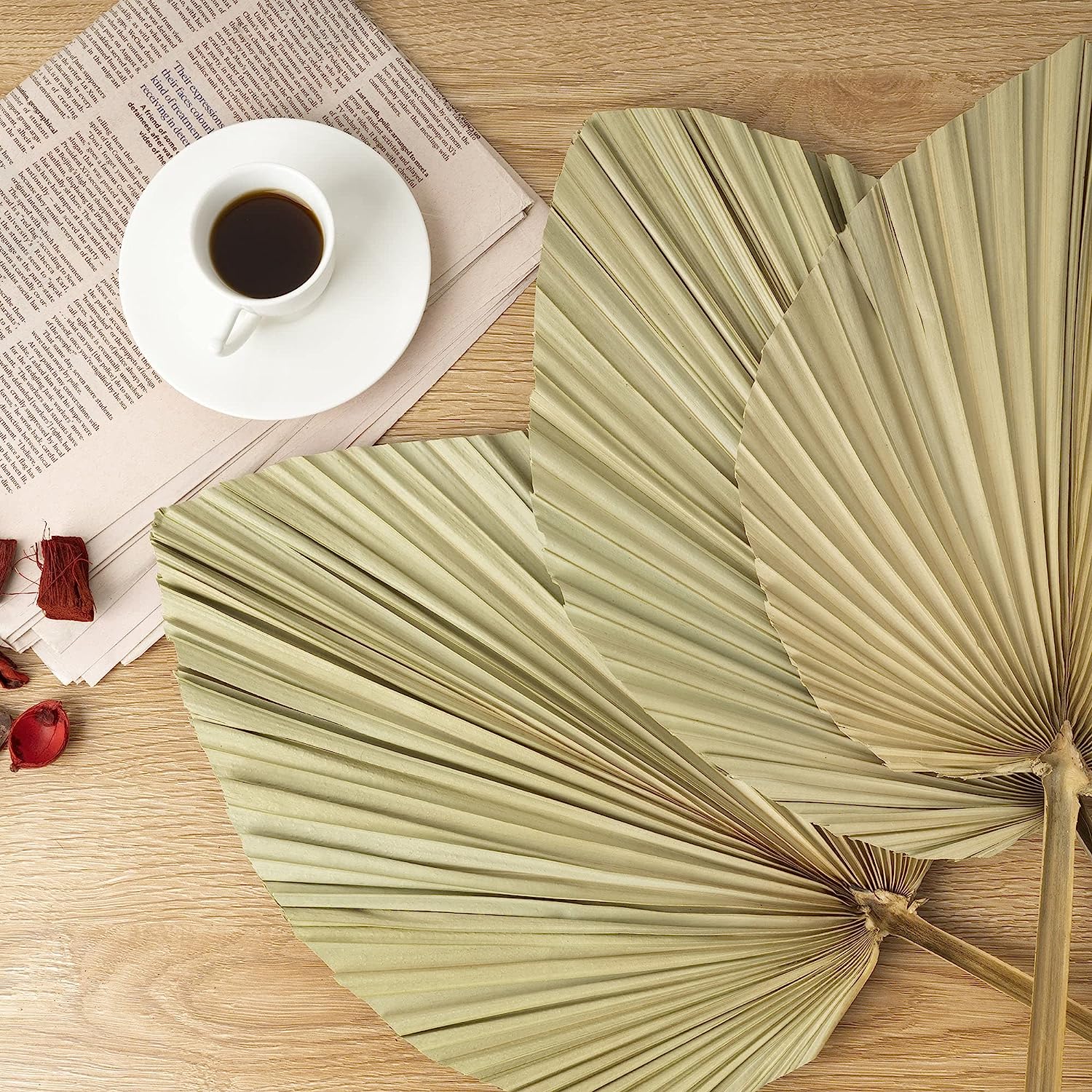 dried_flower - preserved_flower - fake_flower - 5Pcs Dried Palm Leaves Room Decor 18"H x 10"W Large Natural Leaf Decor - Molly Garden - Molly_Garden_Floral