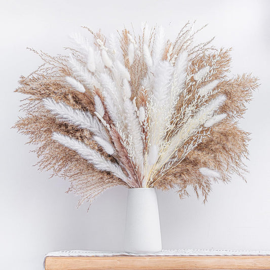 dried_flower - preserved_flower - fake_flower - 80Pcs Natural Dried Pampas Grass Bouquet Boho Home Decor Dry Phragmites - Molly Garden - Molly_Garden_Floral
