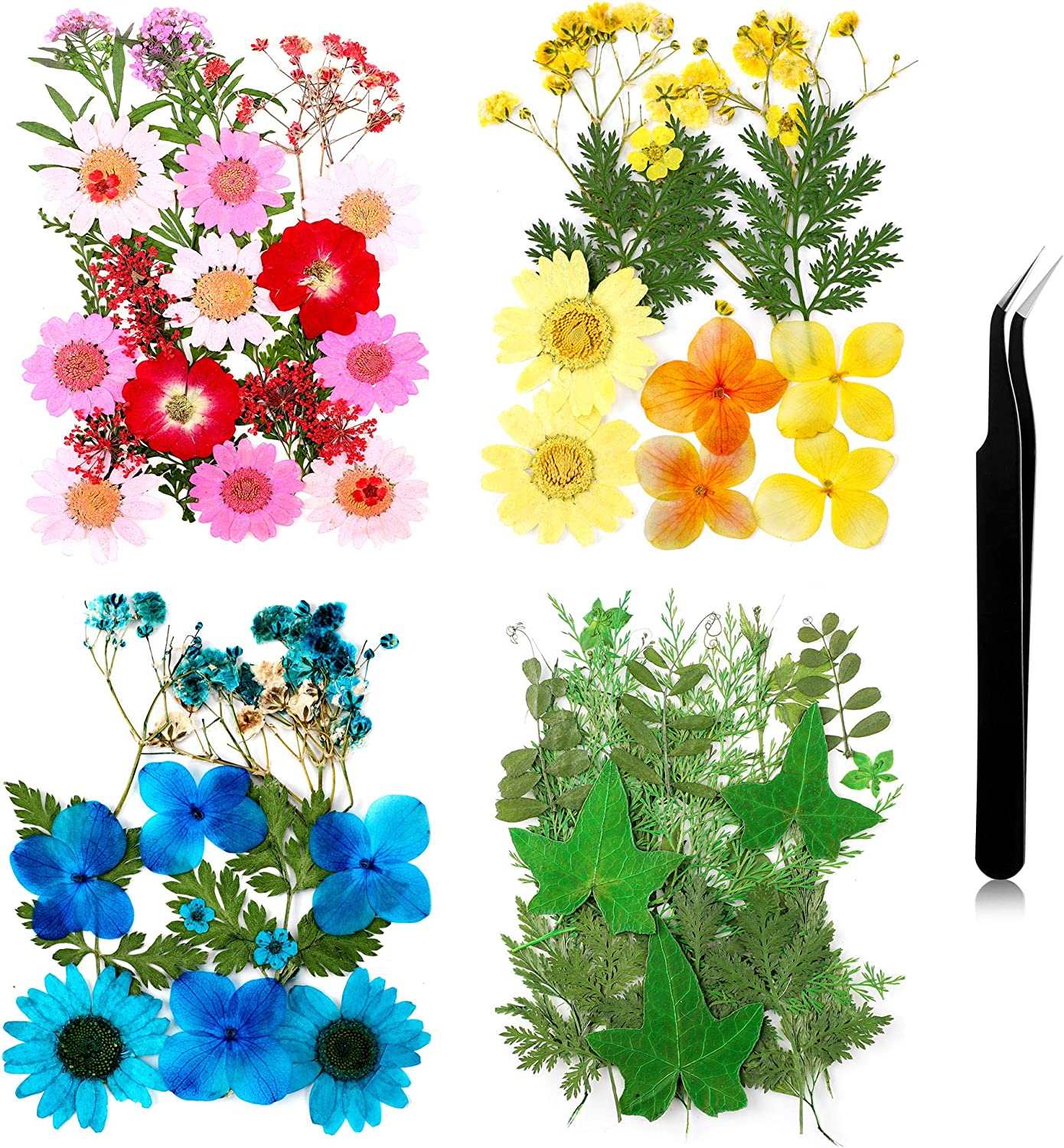dried_flower - preserved_flower - fake_flower - Pressed Flowers Resin for Resin Mold Real Natural Daisy Dried Leaves - Molly Garden - Molly_Garden_Floral