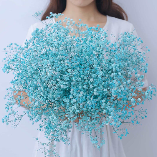 dried_flower - preserved_flower - fake_flower - 2500+Head Dried Flowers Babys Breath Bouquet  Natural Gypsophila Blue - Molly Garden - Molly_Garden_Floral