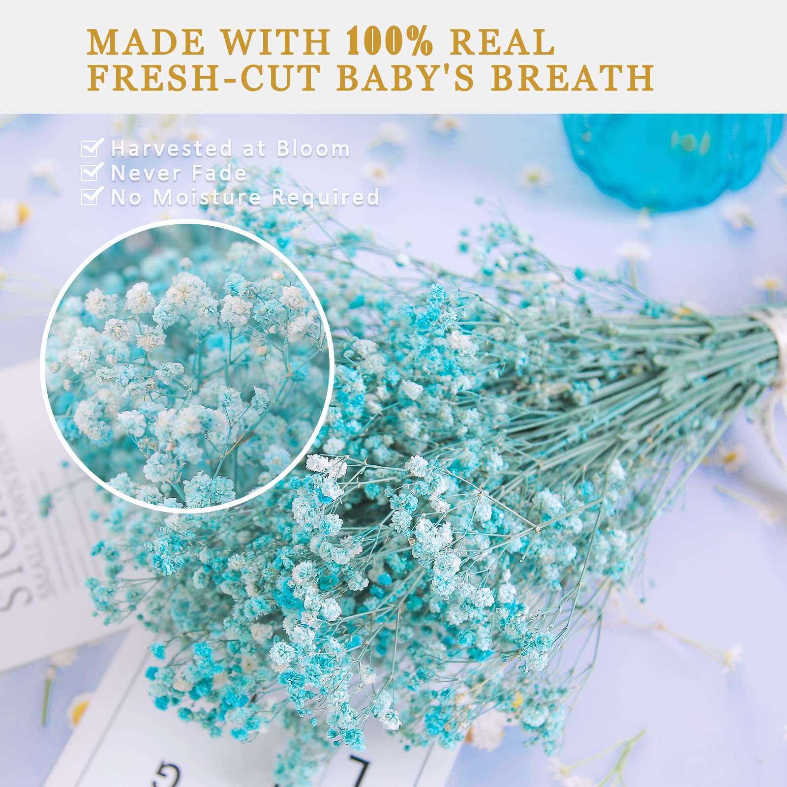 dried_flower - preserved_flower - fake_flower - 2500+Head Dried Flowers Babys Breath Bouquet  Natural Gypsophila Blue - Molly Garden - Molly_Garden_Floral