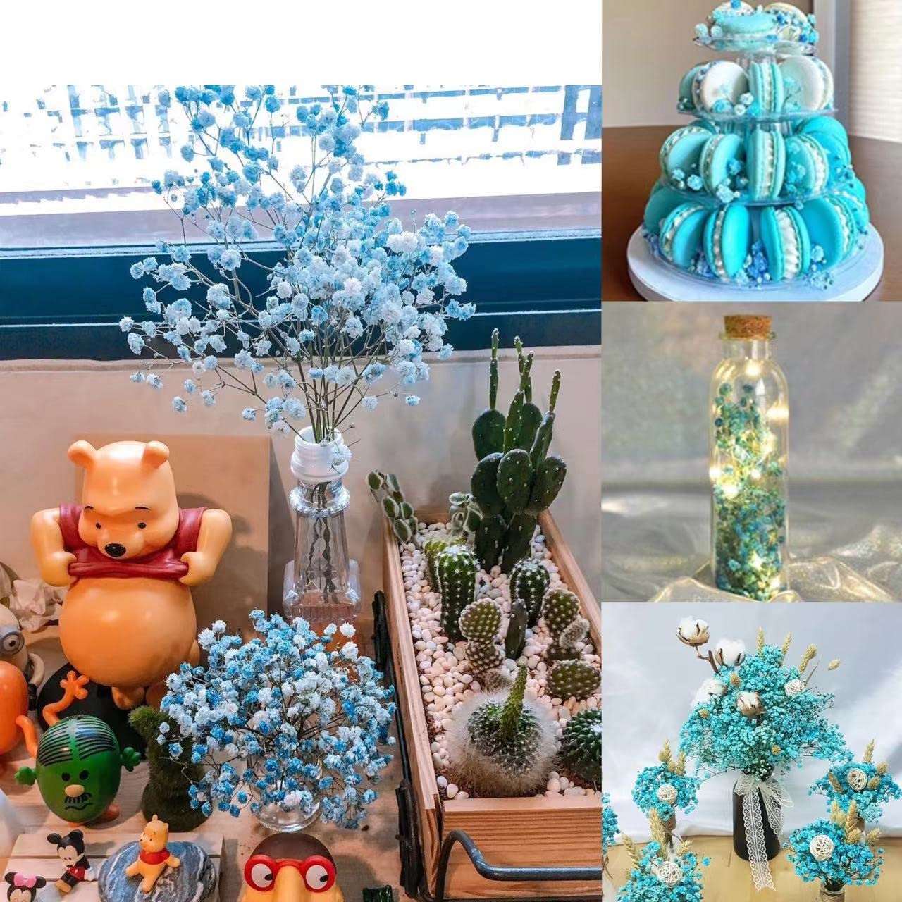 dried_flower - preserved_flower - fake_flower - 2500+Head Dried Flowers Babys Breath Bouquet  Natural Gypsophila Blue - Molly Garden - Molly_Garden_Floral