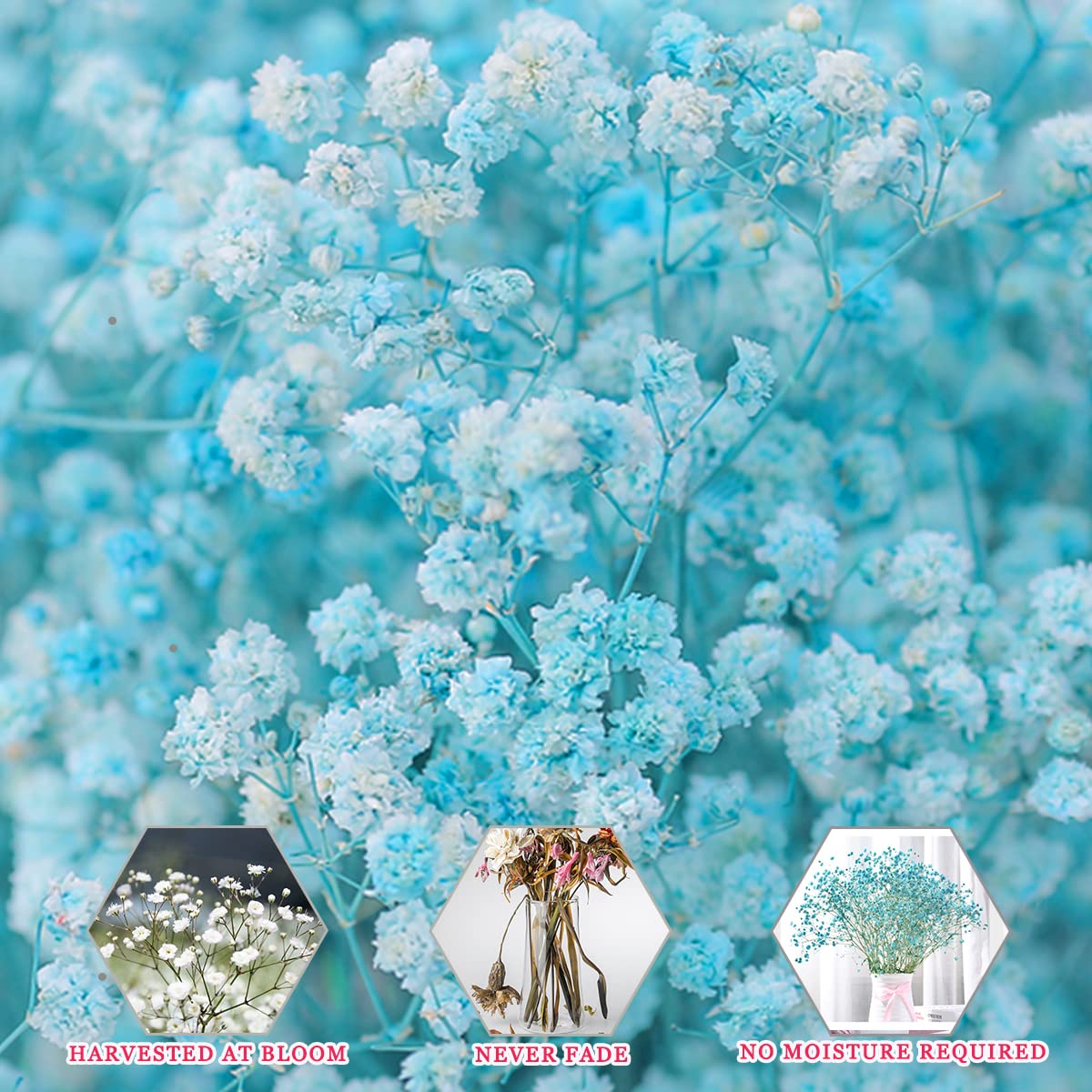 dried_flower - preserved_flower - fake_flower - 2500+Head Dried Flowers Babys Breath Bouquet  Natural Gypsophila Blue - Molly Garden - Molly_Garden_Floral