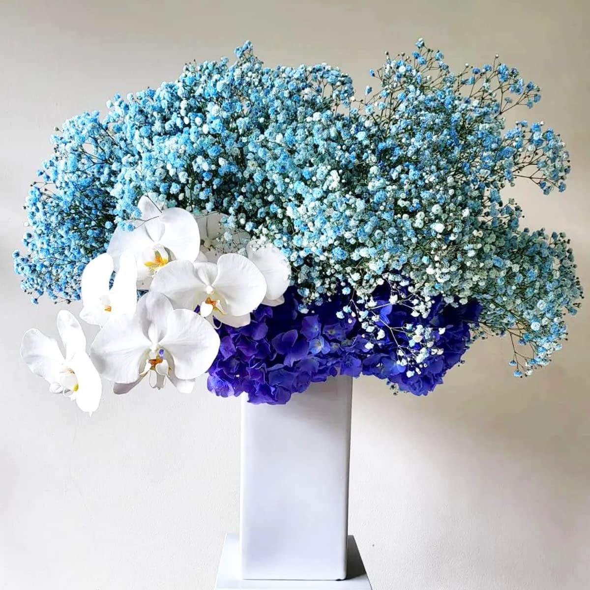 dried_flower - preserved_flower - fake_flower - 2500+Head Dried Flowers Babys Breath Bouquet  Natural Gypsophila Blue - Molly Garden - Molly_Garden_Floral