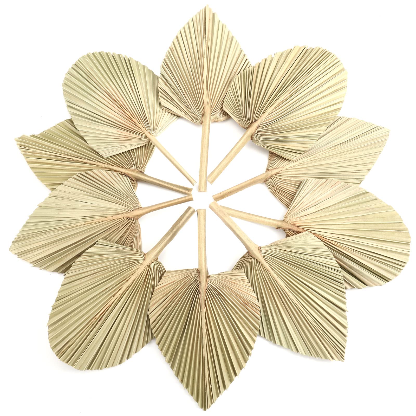 dried_flower - preserved_flower - fake_flower - Natural Dried Palm Leaves Real Plants Home Decor Boho Heart Oval Shape - Molly Garden - Molly_Garden_Floral