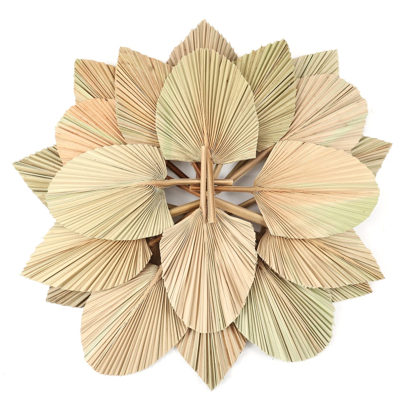 dried_flower - preserved_flower - fake_flower - Natural Dried Palm Leaves Real Plants Home Decor Boho Heart Oval Shape - Molly Garden - Molly_Garden_Floral