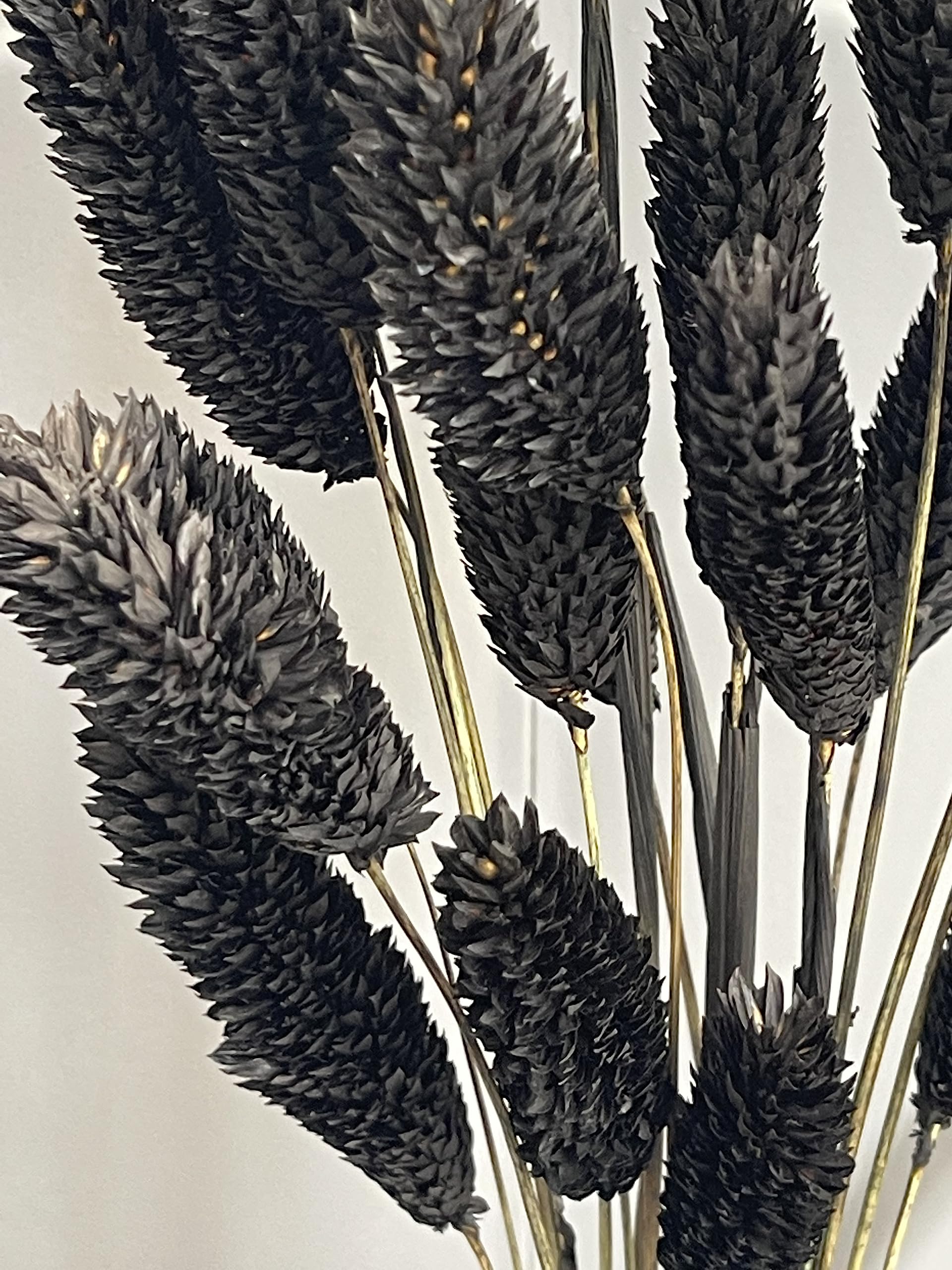 dried_flower - preserved_flower - fake_flower - Floral Gem Grass Natural Dried Flower with Vase Preserved Bouquet Arrangement - Molly Garden - Molly_Garden_Floral