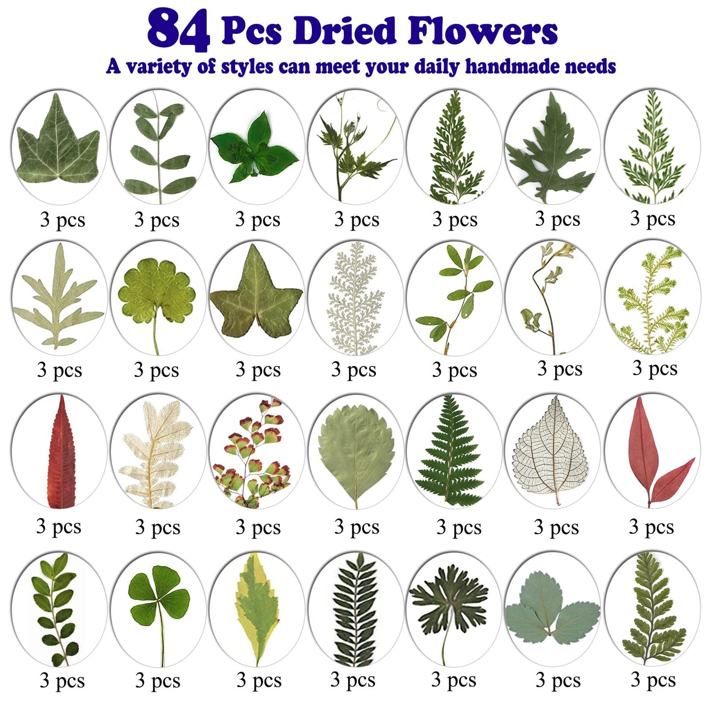 dried_flower - preserved_flower - fake_flower - Pressed Dried Flowers for Resin Molds Real Natural Floral Leave for DIY Crafts - Molly Garden - Molly_Garden_Floral