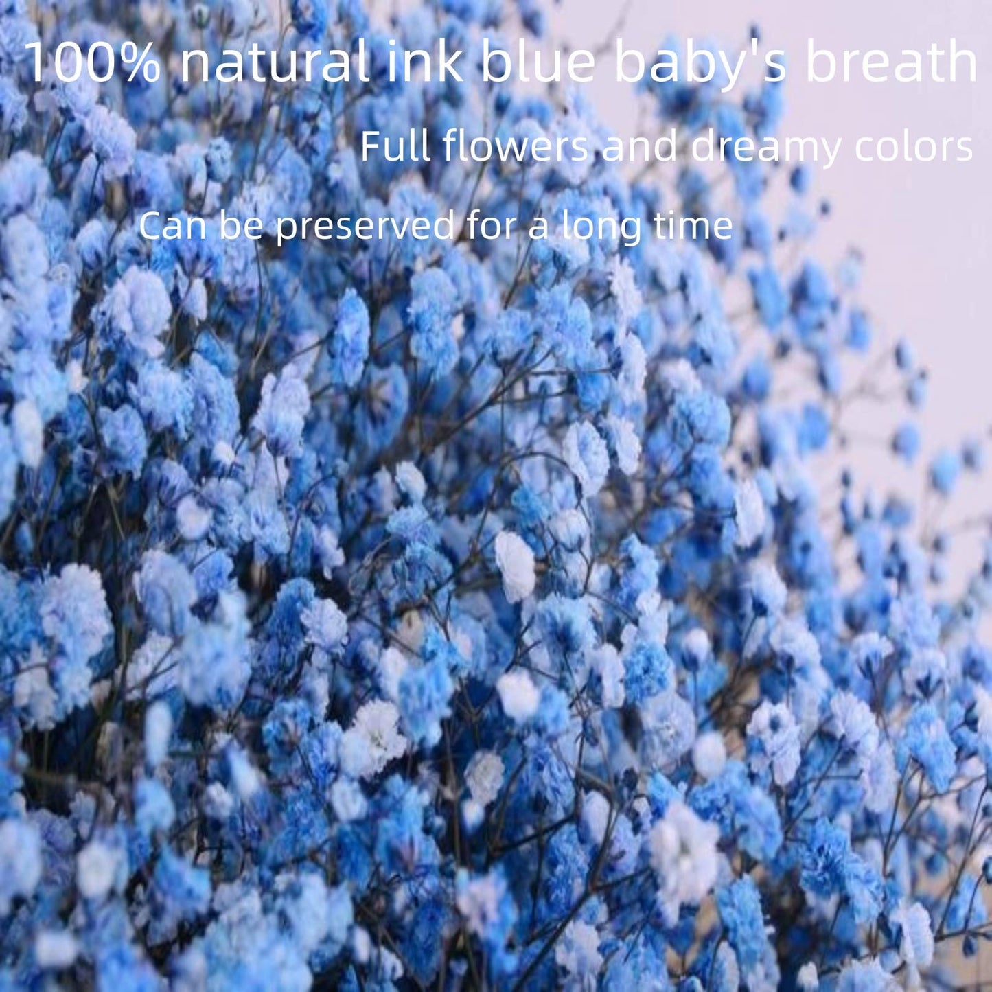 dried_flower - preserved_flower - fake_flower - 2500+Head Dried Flowers Babys Breath Bouquet  Natural Gypsophila Ink Blue - Molly Garden - Molly_Garden_Floral