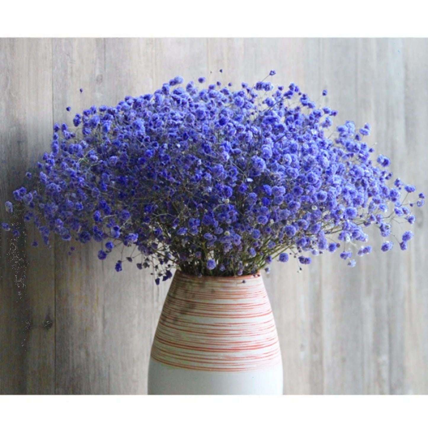 dried_flower - preserved_flower - fake_flower - 2500+Head Dried Flowers Babys Breath Bouquet  Natural Gypsophila Ink Blue - Molly Garden - Molly_Garden_Floral