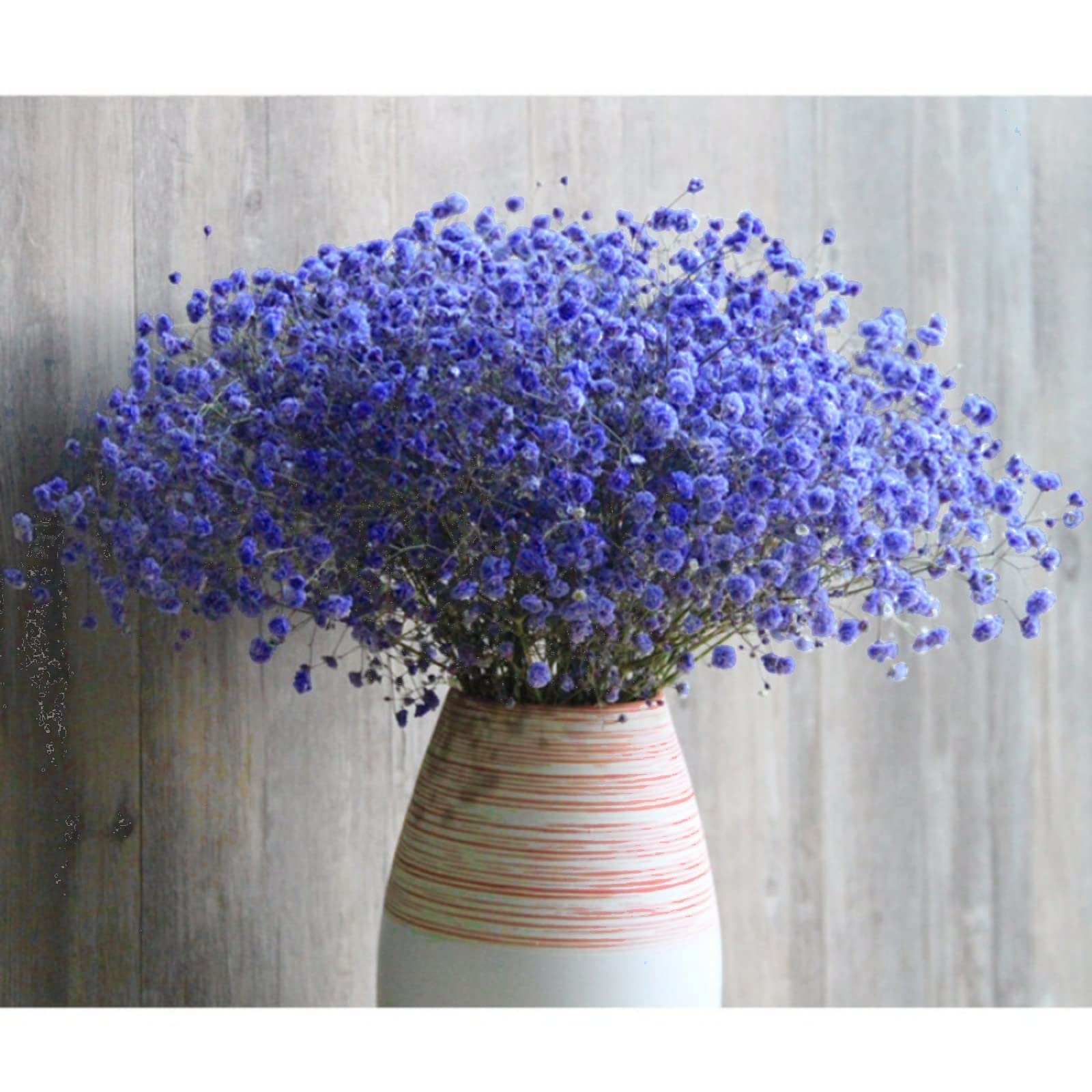 dried_flower - preserved_flower - fake_flower - 2500+Head Dried Flowers Babys Breath Bouquet  Natural Gypsophila Ink Blue - Molly Garden - Molly_Garden_Floral