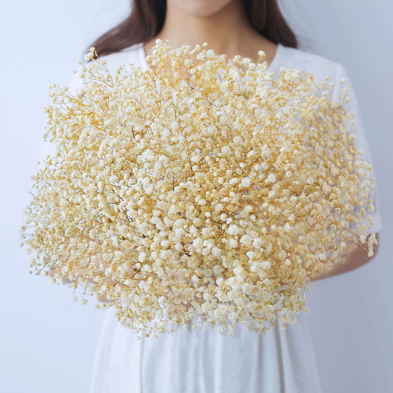 dried_flower - preserved_flower - fake_flower - 2500+Head Dried Flowers Babys Breath Bouquet  Natural Gypsophila Ivory White - Molly Garden - Molly_Garden_Floral