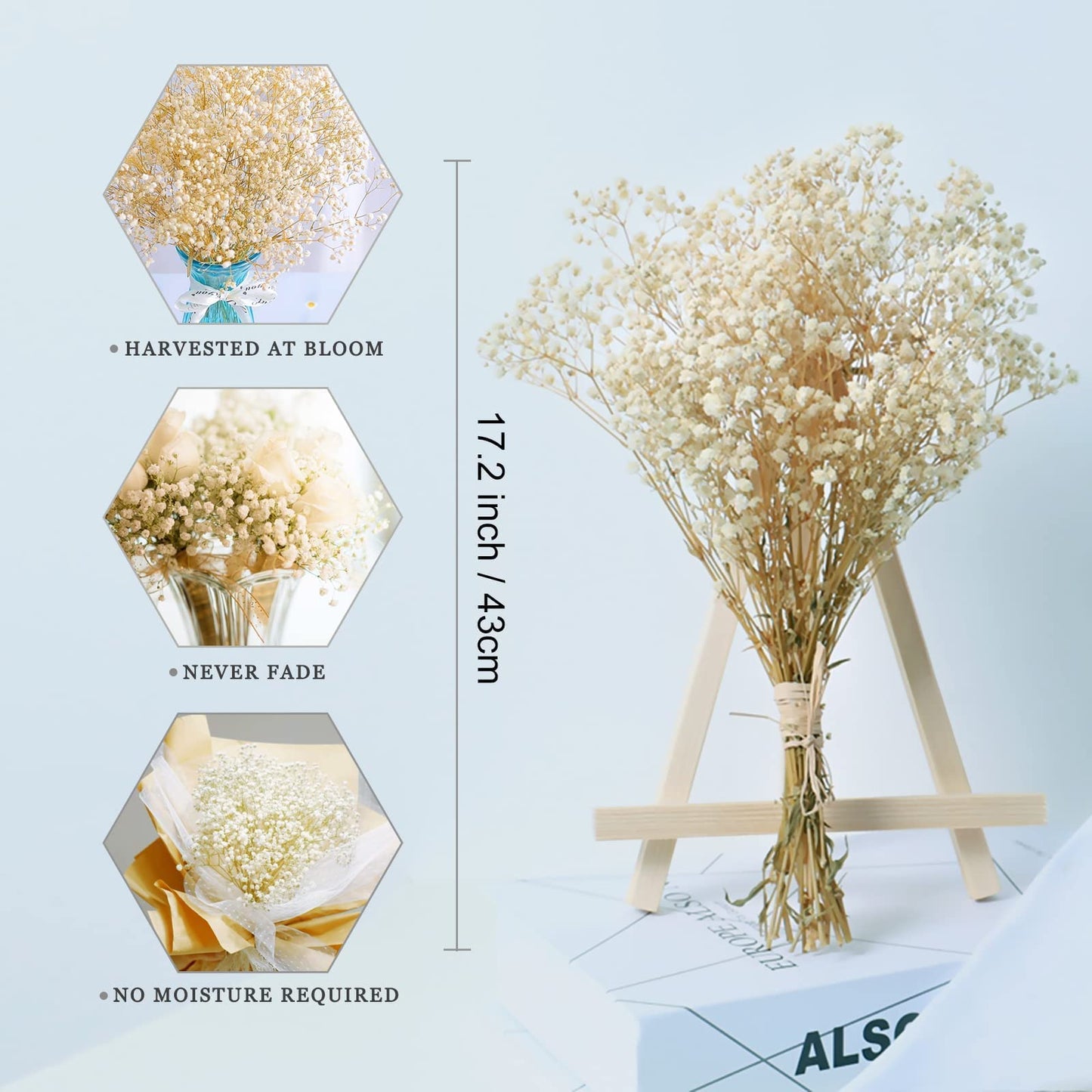 dried_flower - preserved_flower - fake_flower - 2500+Head Dried Flowers Babys Breath Bouquet  Natural Gypsophila Ivory White - Molly Garden - Molly_Garden_Floral