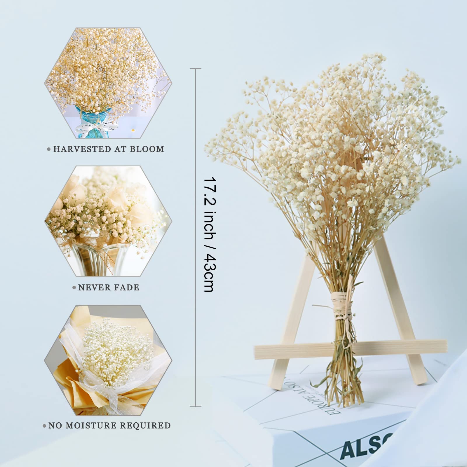 dried_flower - preserved_flower - fake_flower - 2500+Head Dried Flowers Babys Breath Bouquet  Natural Gypsophila Ivory White - Molly Garden - Molly_Garden_Floral