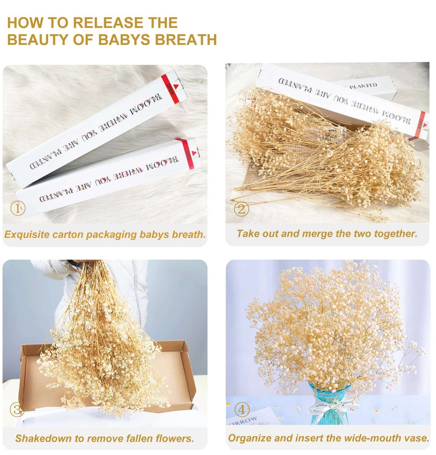 dried_flower - preserved_flower - fake_flower - 2500+Head Dried Flowers Babys Breath Bouquet  Natural Gypsophila Ivory White - Molly Garden - Molly_Garden_Floral
