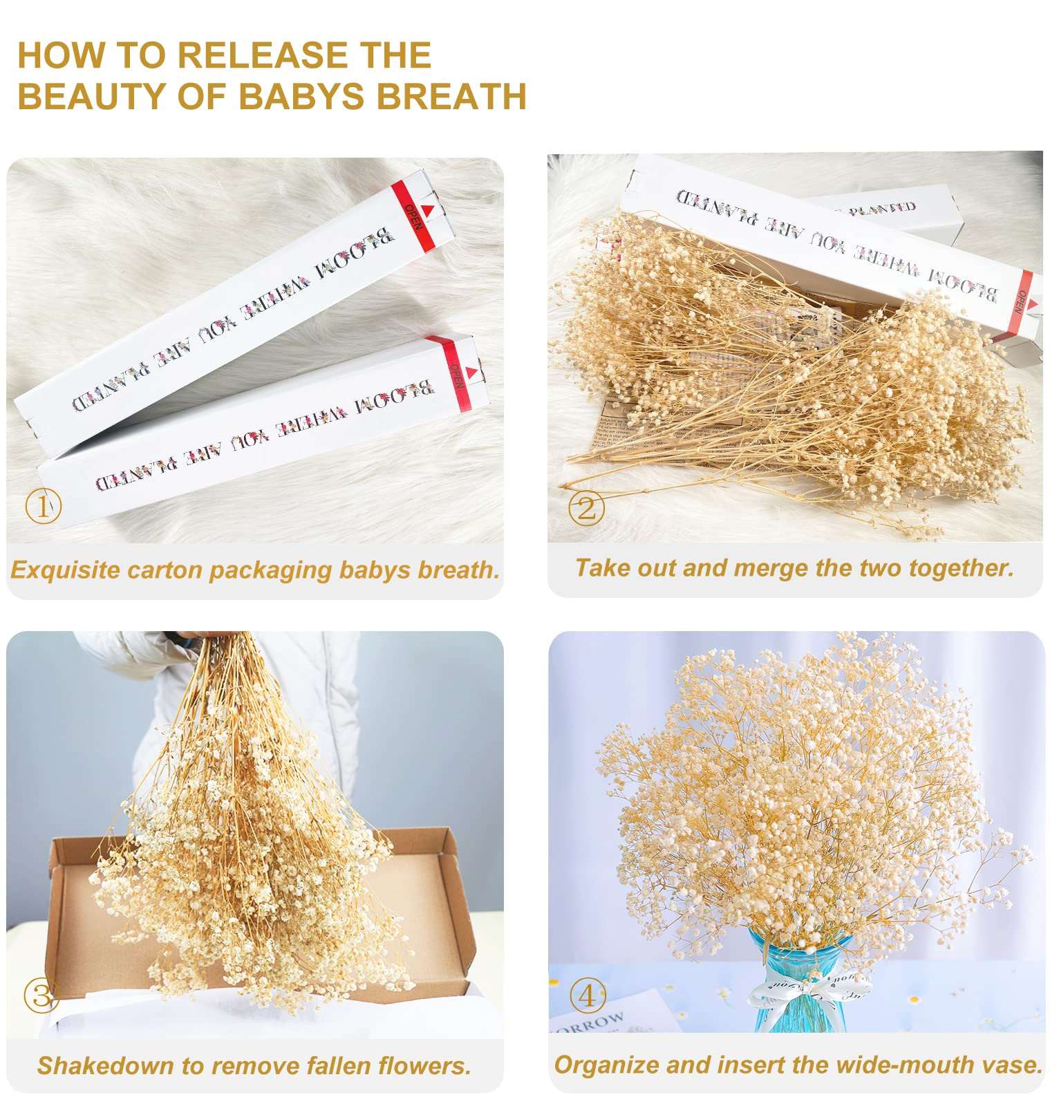dried_flower - preserved_flower - fake_flower - 2500+Head Dried Flowers Babys Breath Bouquet  Natural Gypsophila Ivory White - Molly Garden - Molly_Garden_Floral