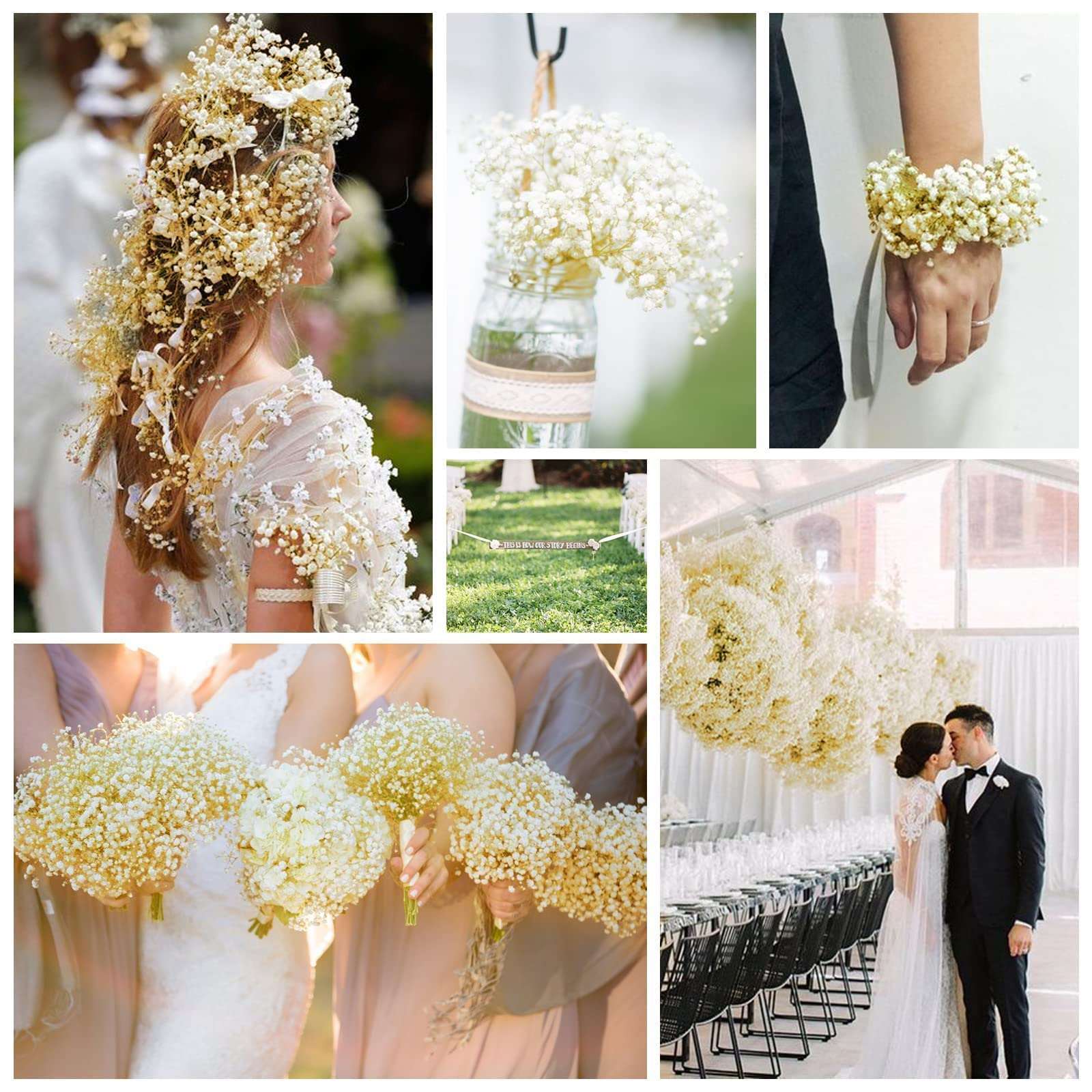 dried_flower - preserved_flower - fake_flower - 2500+Head Dried Flowers Babys Breath Bouquet  Natural Gypsophila Ivory White - Molly Garden - Molly_Garden_Floral