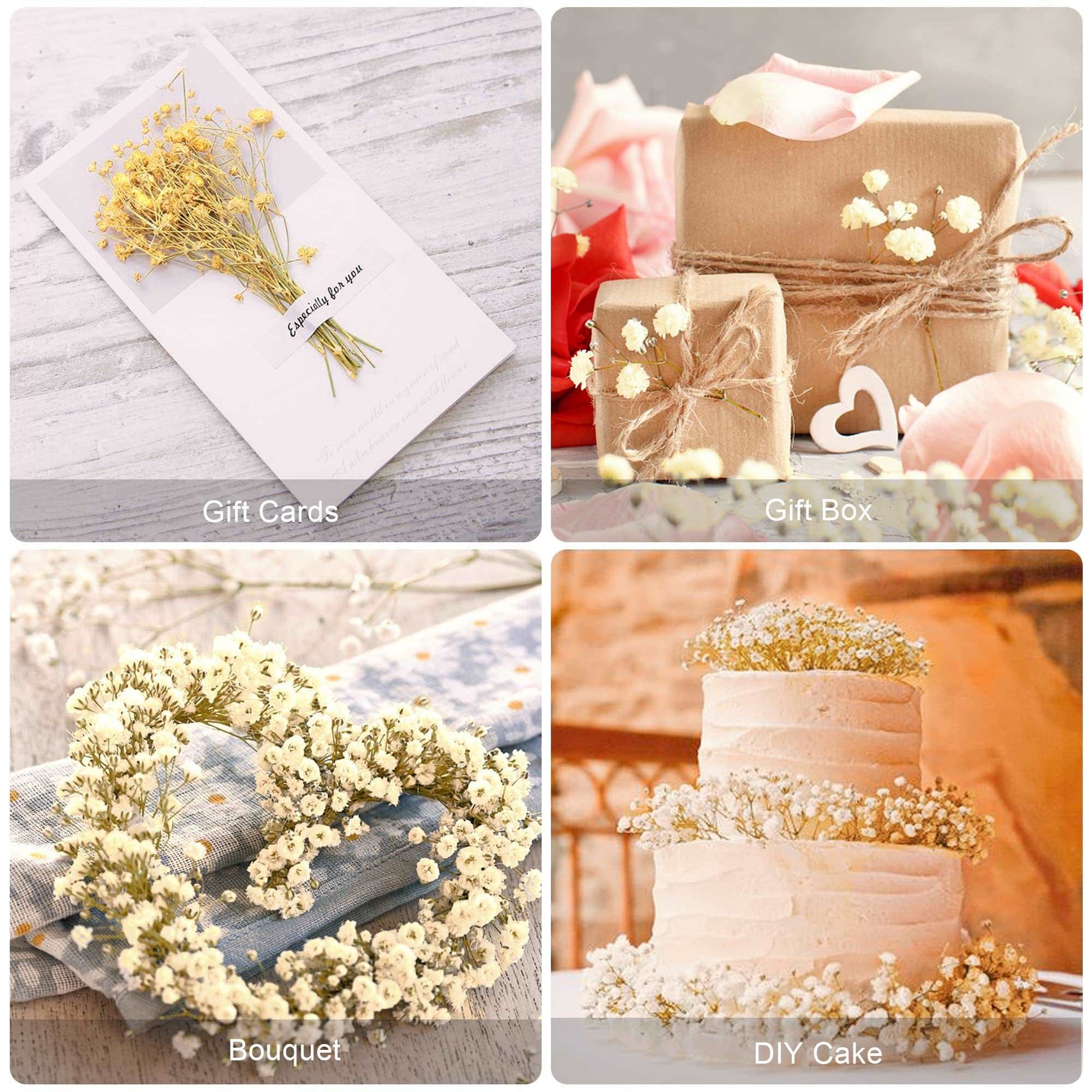 dried_flower - preserved_flower - fake_flower - 2500+Head Dried Flowers Babys Breath Bouquet  Natural Gypsophila Ivory White - Molly Garden - Molly_Garden_Floral