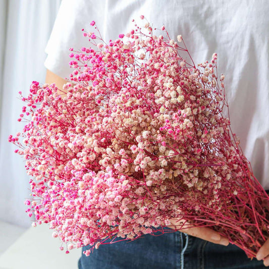 dried_flower - preserved_flower - fake_flower - 2500+Head Dried Flowers Babys Breath Bouquet  Natural Gypsophila Pink - Molly Garden - Molly_Garden_Floral
