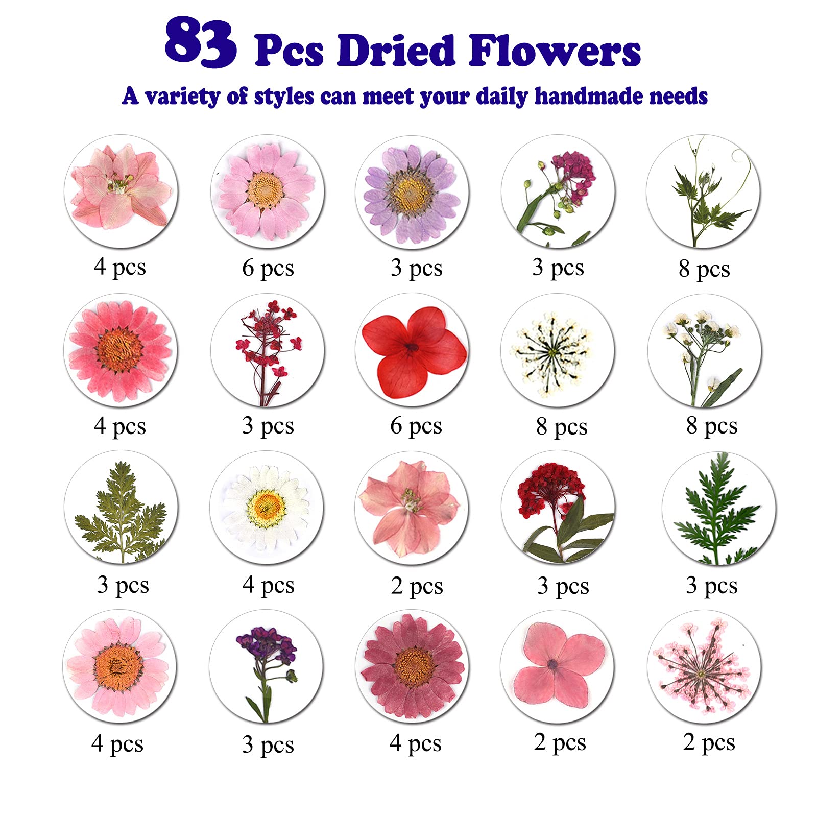 dried_flower - preserved_flower - fake_flower - Pressed Dried Flowers for Resin Molds Real Natural Floral Leave for DIY Crafts - Molly Garden - Molly_Garden_Floral
