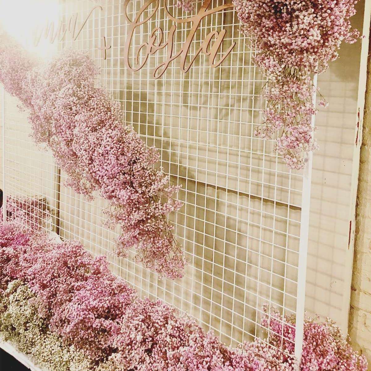 dried_flower - preserved_flower - fake_flower - 2500+Head Dried Flowers Babys Breath Bouquet  Natural Gypsophila Pink - Molly Garden - Molly_Garden_Floral