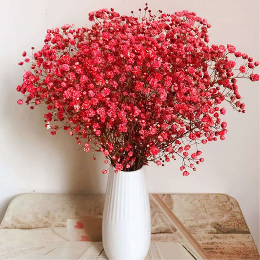 dried_flower - preserved_flower - fake_flower - 2500+Head Dried Flowers Babys Breath Bouquet  Natural Gypsophila Red - Molly Garden - Molly_Garden_Floral