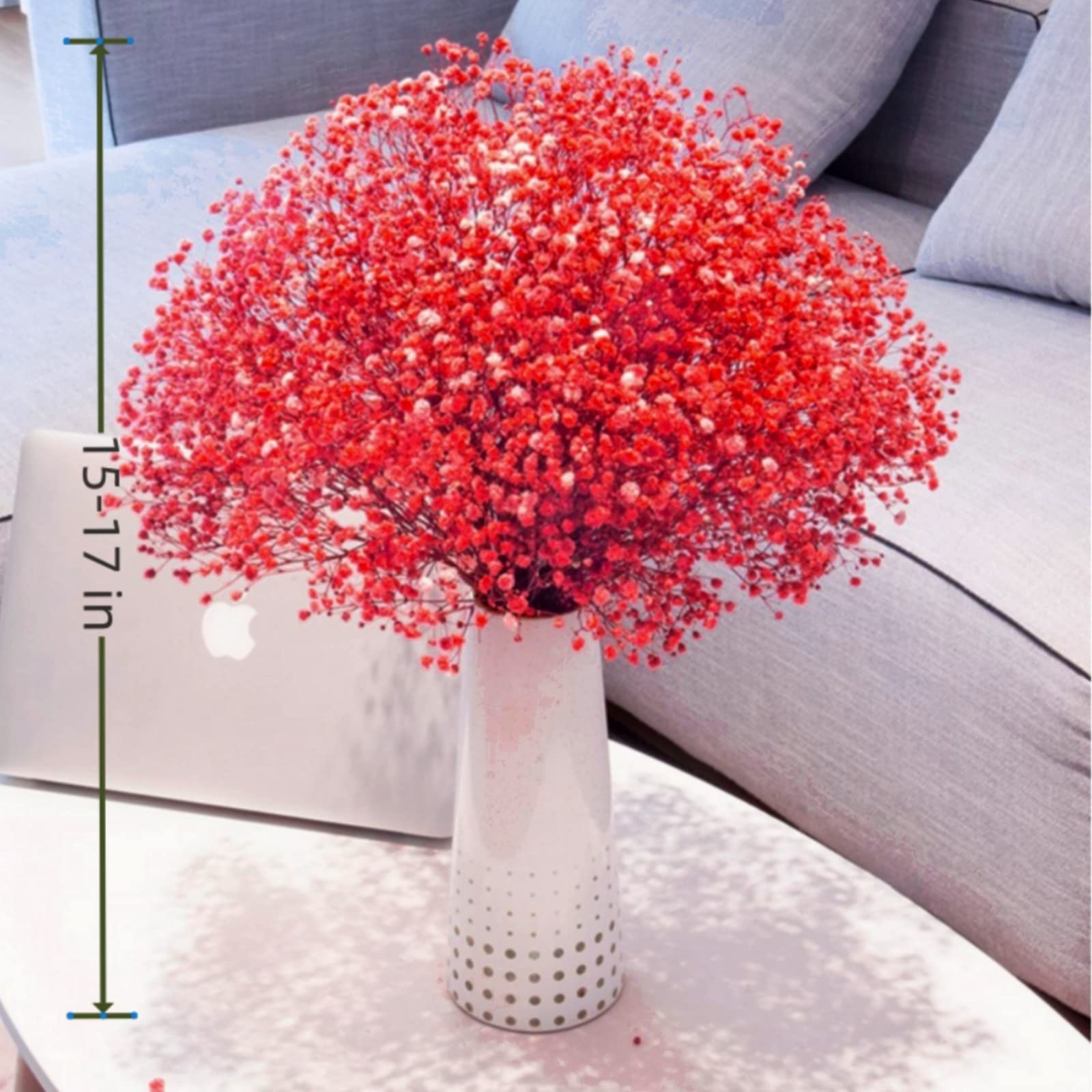 dried_flower - preserved_flower - fake_flower - 2500+Head Dried Flowers Babys Breath Bouquet  Natural Gypsophila Red - Molly Garden - Molly_Garden_Floral
