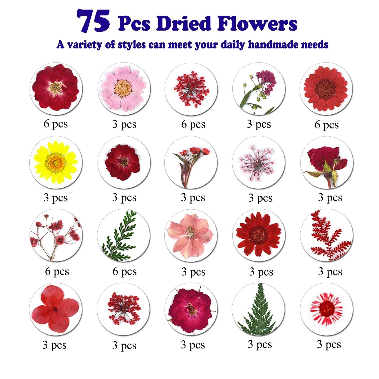 dried_flower - preserved_flower - fake_flower - Pressed Dried Flowers for Resin Molds Real Natural Floral Leave for DIY Crafts - Molly Garden - Molly_Garden_Floral