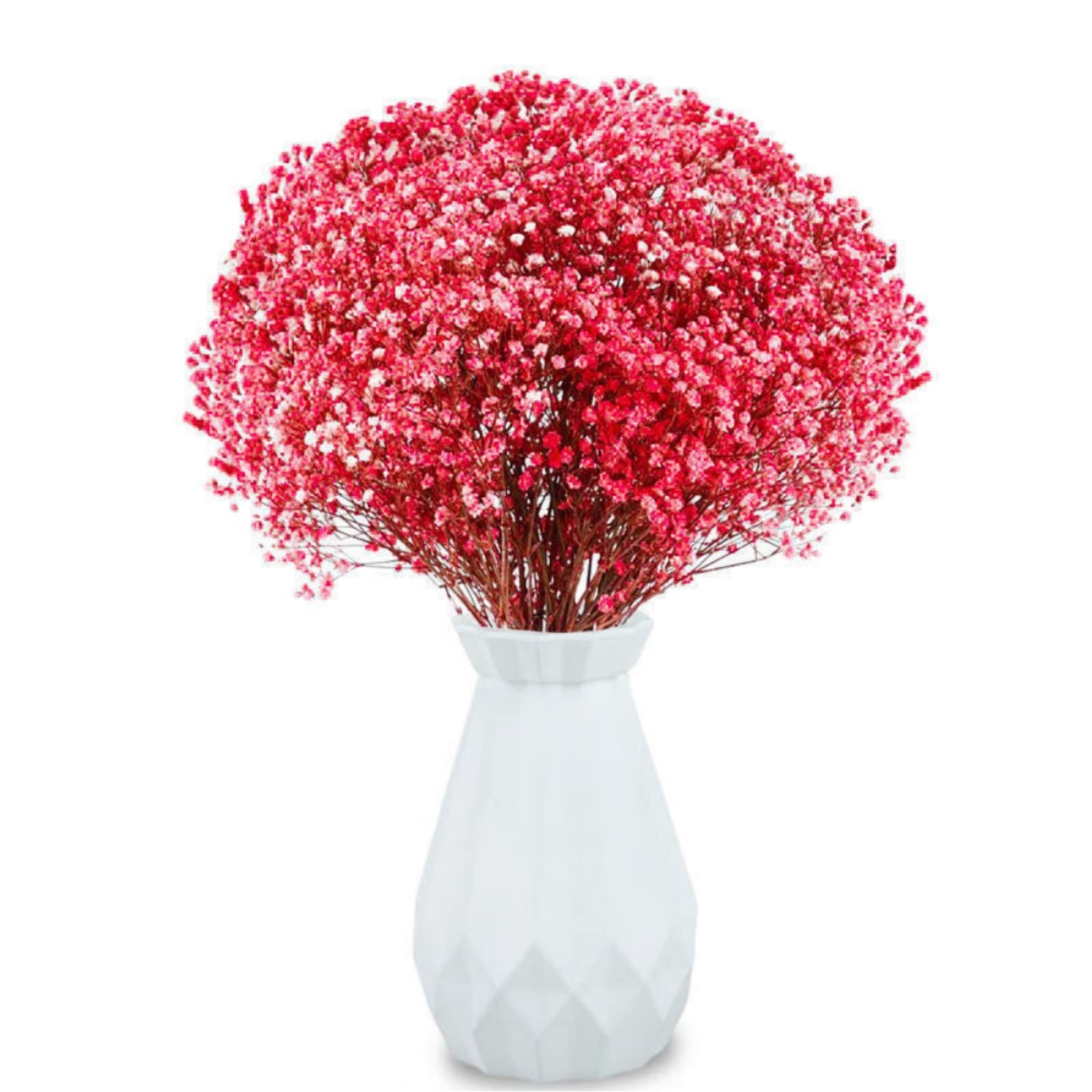 dried_flower - preserved_flower - fake_flower - 2500+Head Dried Flowers Babys Breath Bouquet  Natural Gypsophila Red - Molly Garden - Molly_Garden_Floral