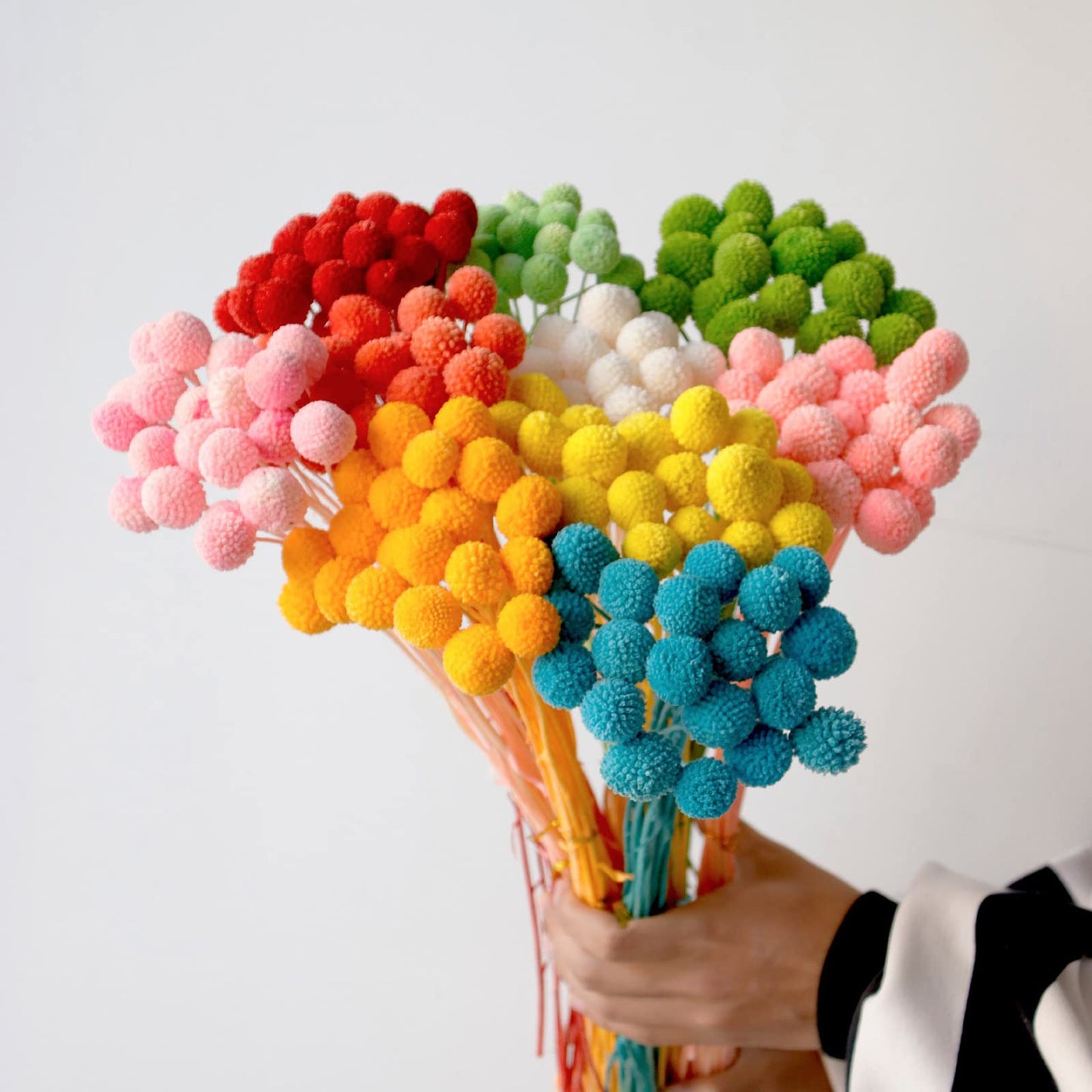dried_flower - preserved_flower - fake_flower - 20Pcs Natural Dried Flowers Billy Balls 16" Bouquet Floral Arrangements Bouquet - Molly Garden - Molly_Garden_Floral
