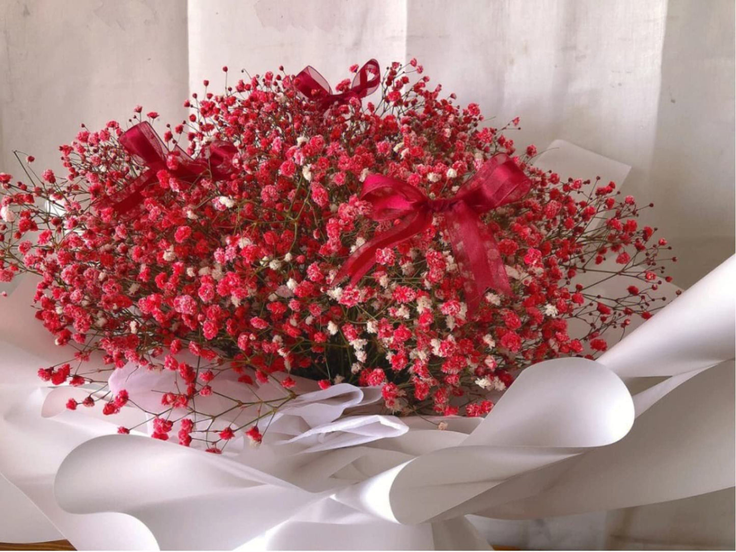 dried_flower - preserved_flower - fake_flower - 2500+Head Dried Flowers Babys Breath Bouquet  Natural Gypsophila Red - Molly Garden - Molly_Garden_Floral