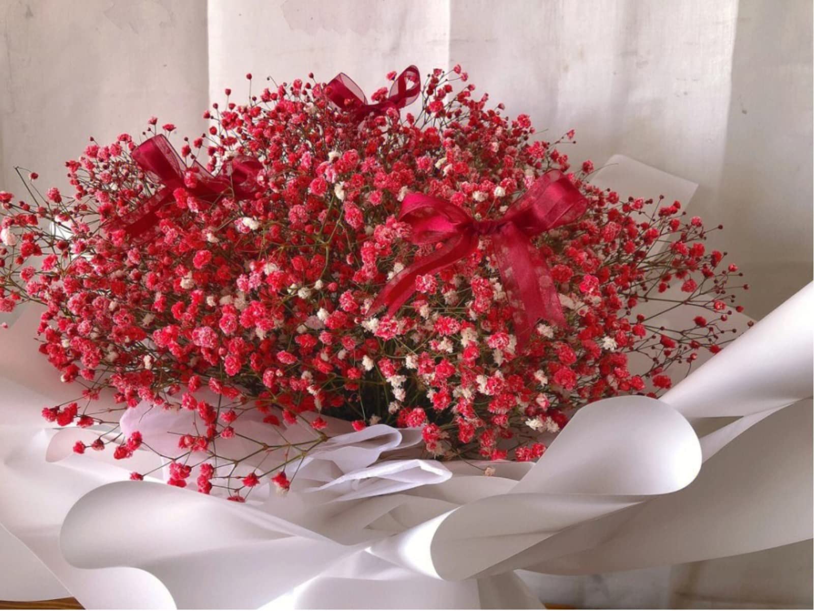 dried_flower - preserved_flower - fake_flower - 2500+Head Dried Flowers Babys Breath Bouquet  Natural Gypsophila Red - Molly Garden - Molly_Garden_Floral