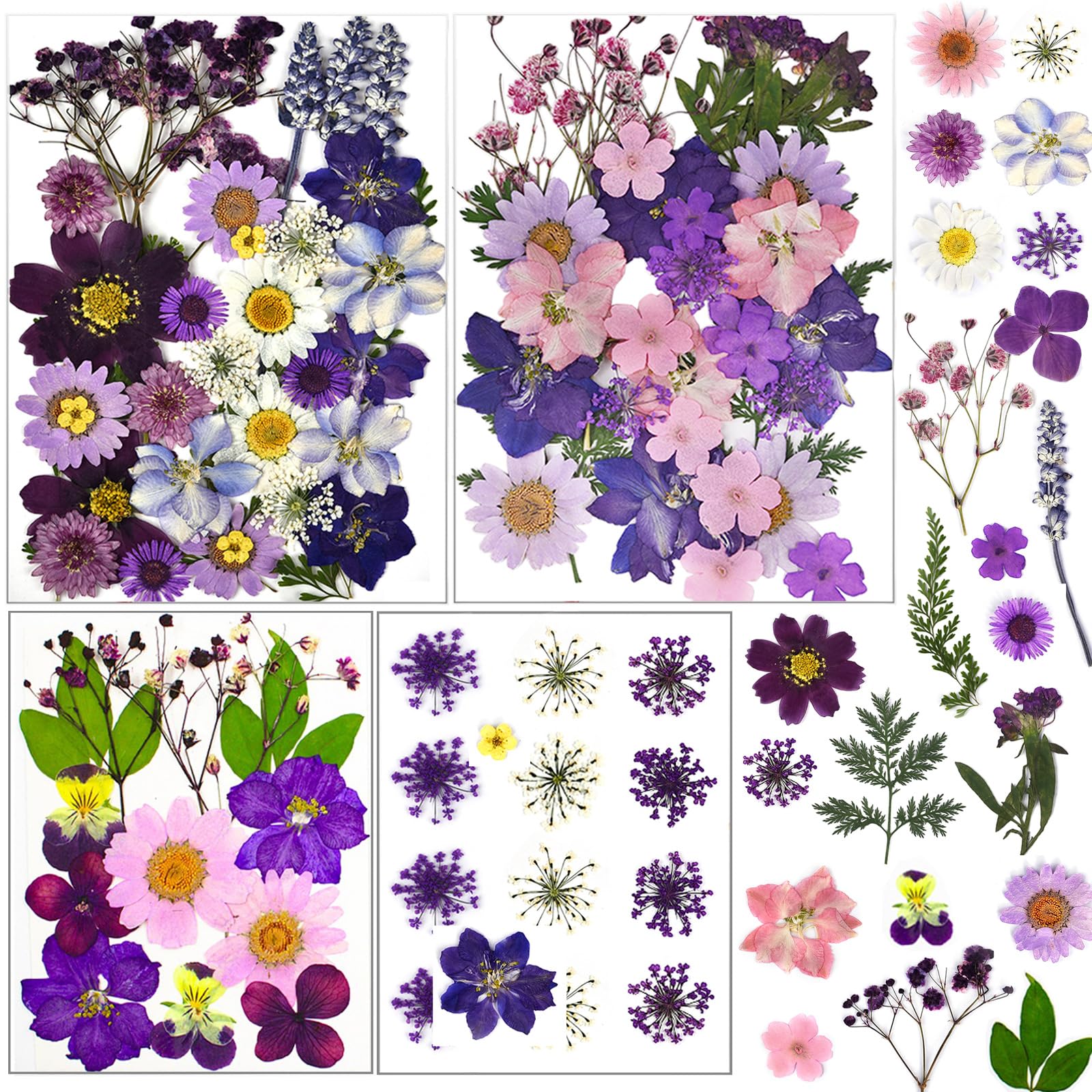 dried_flower - preserved_flower - fake_flower - Pressed Dried Flowers for Resin Molds Real Natural Floral Leave for DIY Crafts - Molly Garden - Molly_Garden_Floral