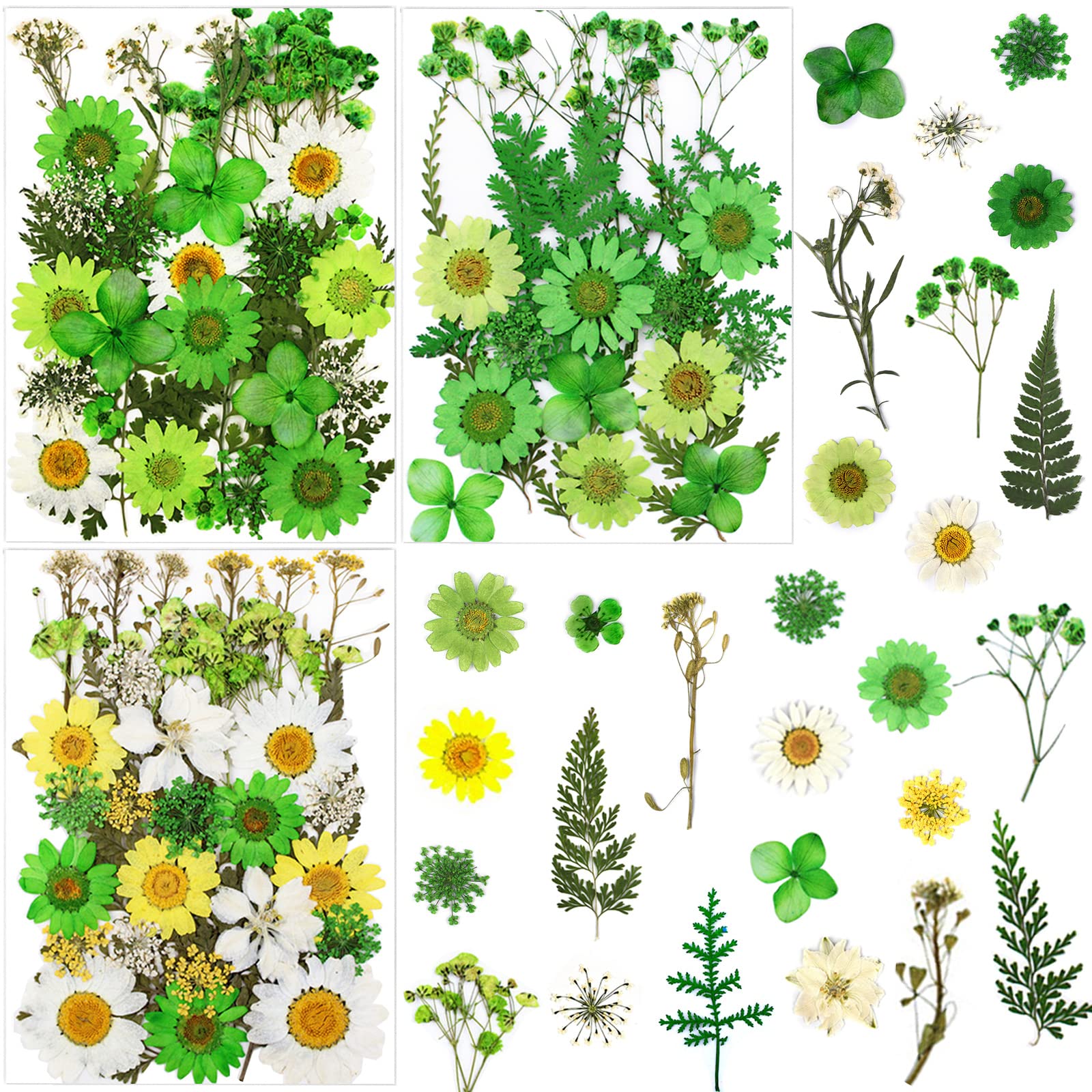 dried_flower - preserved_flower - fake_flower - Pressed Dried Flowers for Resin Molds Real Natural Floral Leave for DIY Crafts - Molly Garden - Molly_Garden_Floral