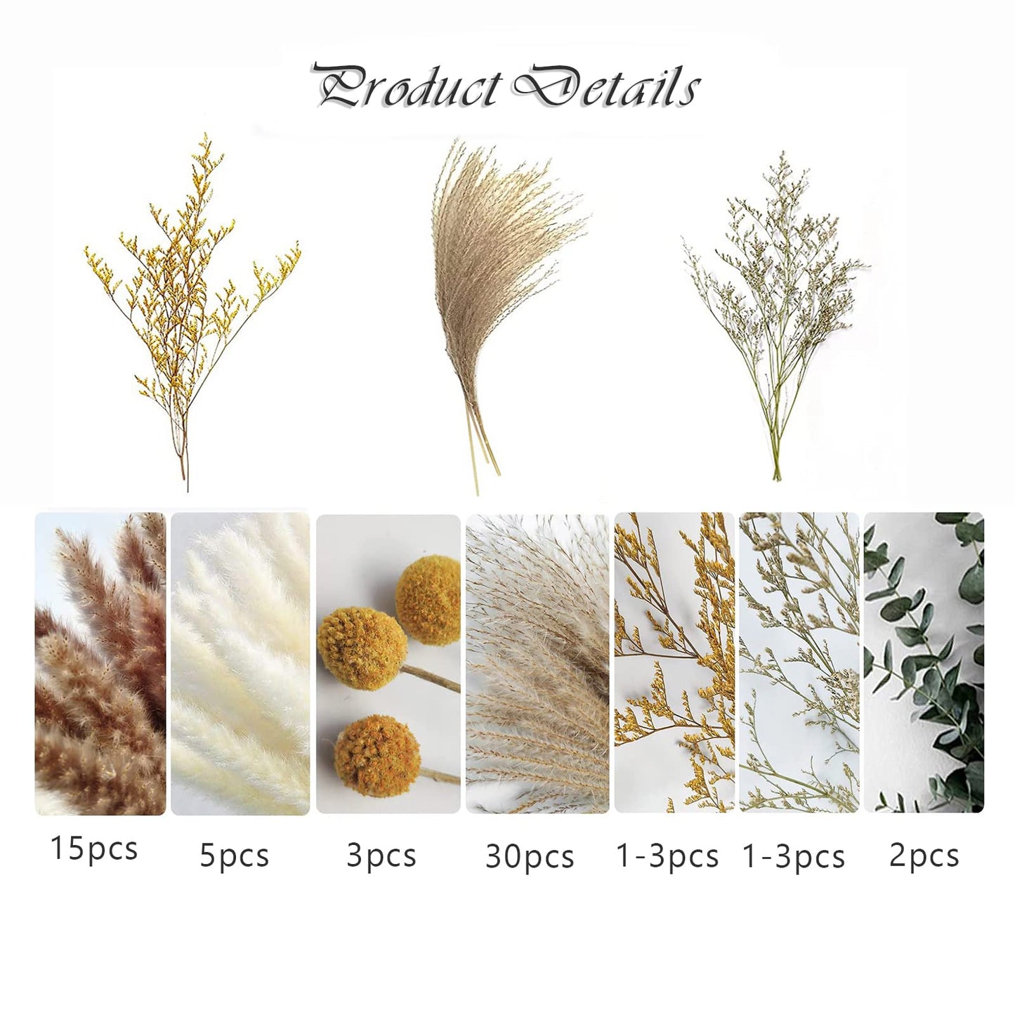 dried_flower - preserved_flower - fake_flower - Dried Pampas Grass Decor DIY Boho Natural Flower Decor Pompous Plants - Molly Garden - Molly_Garden_Floral