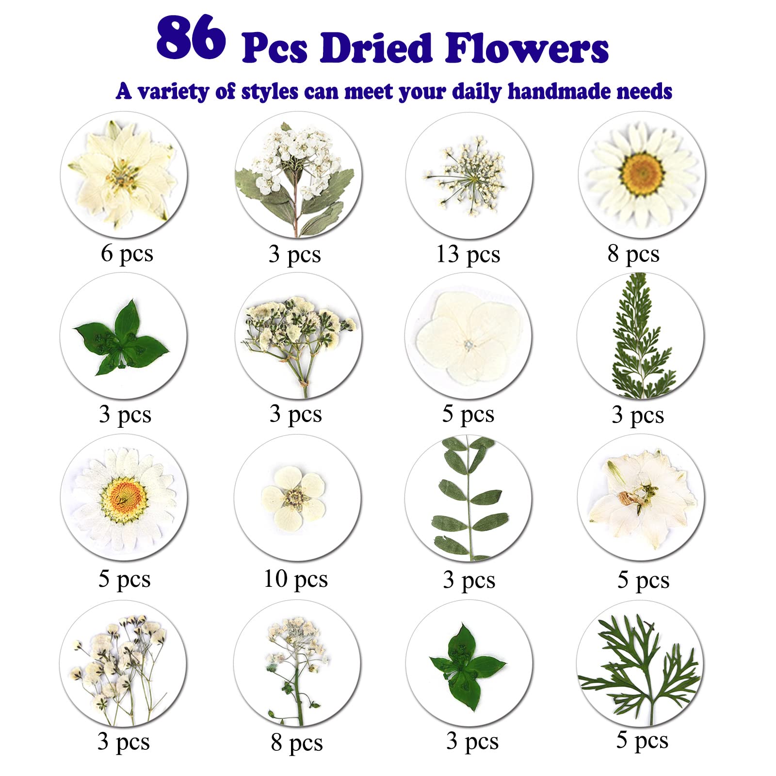 dried_flower - preserved_flower - fake_flower - Pressed Dried Flowers for Resin Molds Real Natural Floral Leave for DIY Crafts - Molly Garden - Molly_Garden_Floral