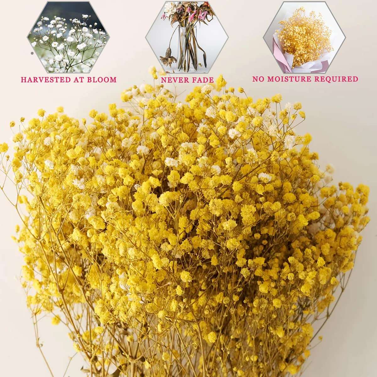 dried_flower - preserved_flower - fake_flower - 2500+Head Dried Flowers Babys Breath Bouquet  Natural Gypsophila Yellow - Molly Garden - Molly_Garden_Floral
