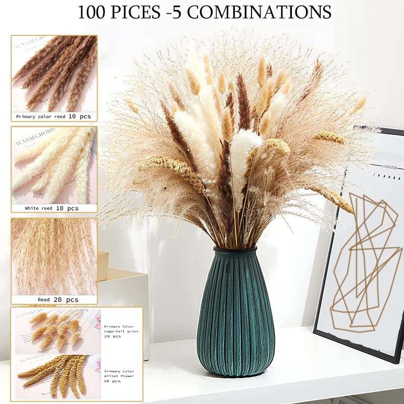 dried_flower - preserved_flower - fake_flower - Dried Pampas Grass Decor DIY Boho Natural Flower Decor Pompous Plants - Molly Garden - Molly_Garden_Floral