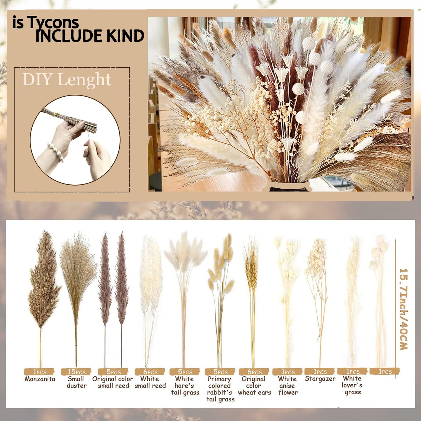 dried_flower - preserved_flower - fake_flower - Dried Pampas Grass Decor DIY Boho Natural Flower Decor Pompous Plants - Molly Garden - Molly_Garden_Floral
