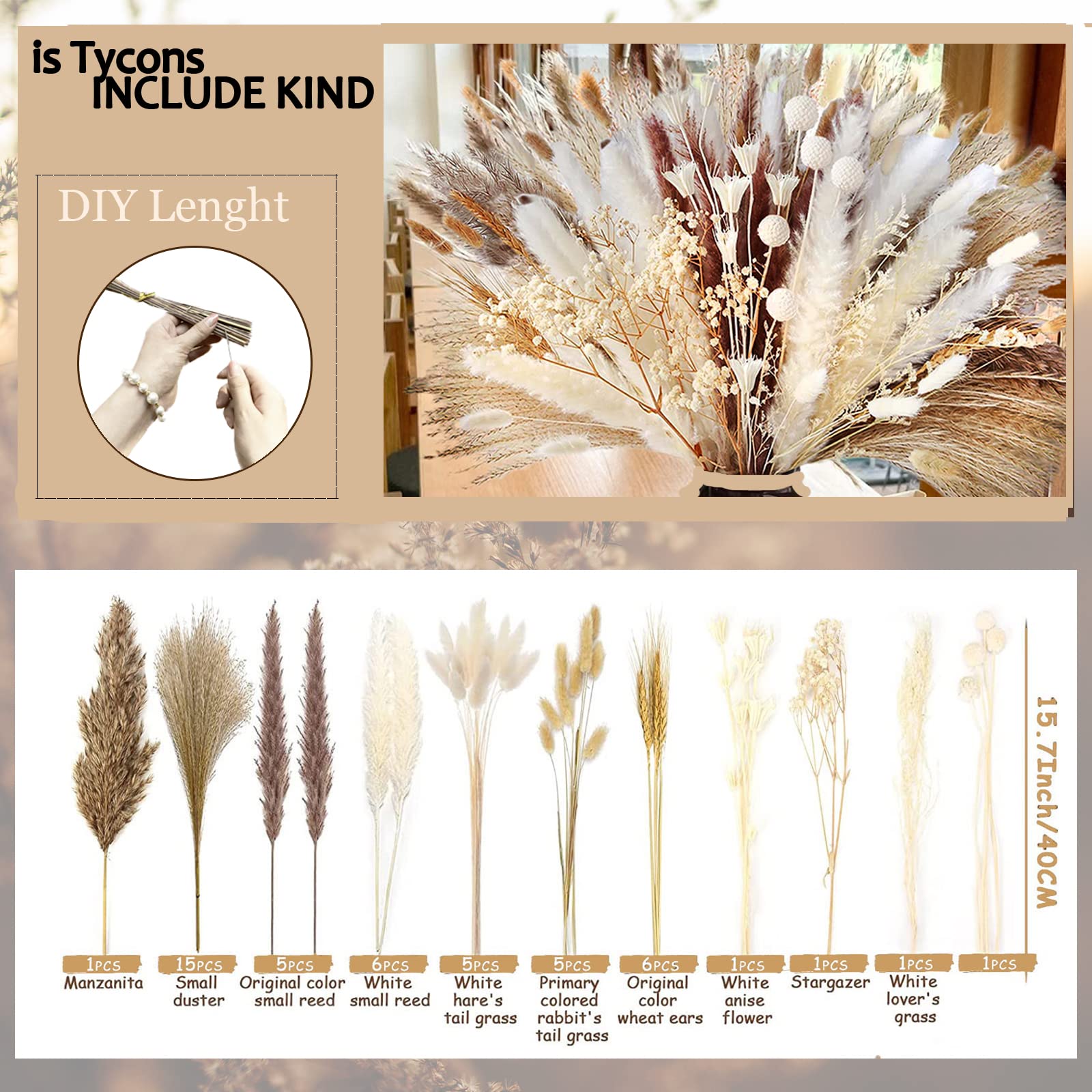 dried_flower - preserved_flower - fake_flower - Dried Pampas Grass Decor DIY Boho Natural Flower Decor Pompous Plants - Molly Garden - Molly_Garden_Floral